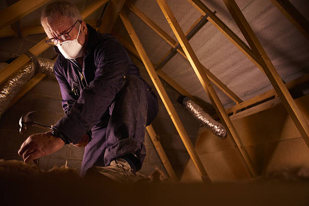 Best Insulation Maintenance and Repair in Warrenton, VA